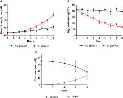 The Warburg Effect in Yeast: Repression of Mitochondrial Metabolism Is Not a Prerequisite to Promote Cell Proliferation